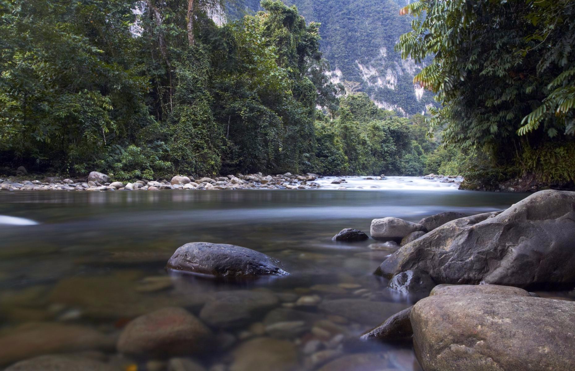 Mulu National Park